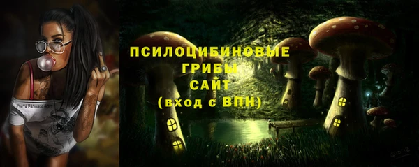 герыч Алексин