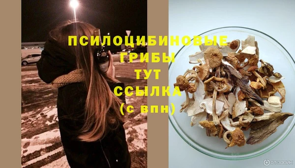 герыч Алексин