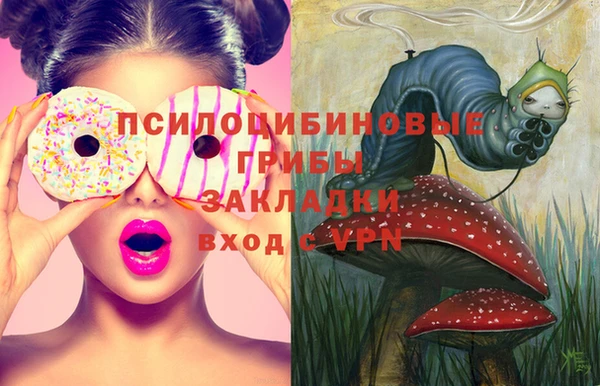 дмт Алзамай