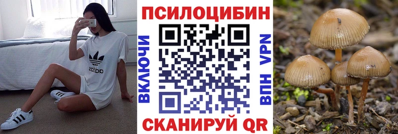 Галлюциногенные грибы Psilocybe Темрюк