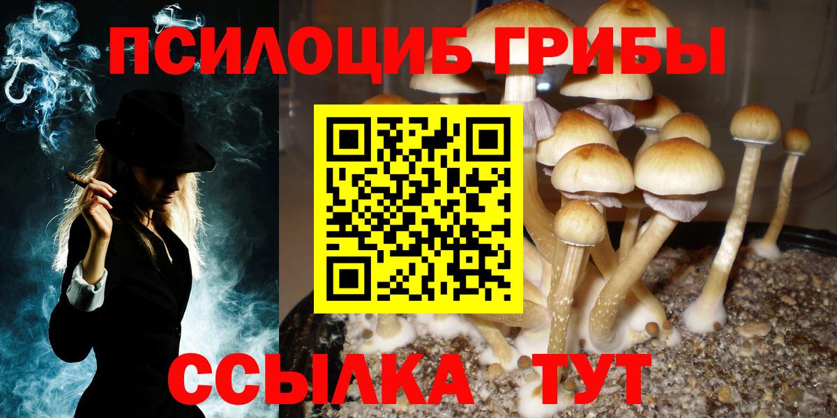 Темрюк  Галлюциногенные грибы мицелий  Вход с VPN 